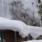 20101203-222039.jpg