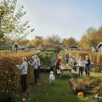 Fællesdag d. 21. september