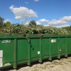 Havevandring og Grøntcontainer 2024